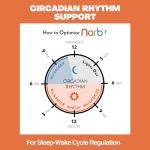 Norb SMILE Sunlike Full Spectrum LED Bulb