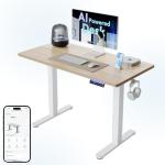 Smart Adjustable Electric Standing Desk with App Control