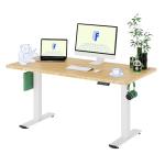 FLEXISPOT Bamboo Electric Standing Desk with Memory Panel