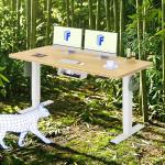 FLEXISPOT Bamboo Electric Standing Desk with Memory Panel