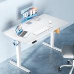 DUMOS Adjustable Electric Standing Desk for Home Office