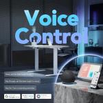 Smart Adjustable Electric Standing Desk with App Control