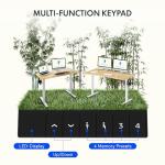 FLEXISPOT Bamboo Electric Standing Desk with Memory Panel