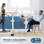 Adjustable Electric Standing Desk with Memory Presets