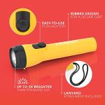 Energizer LED Flashlight Pack of 2 - Bright, Water Resistant