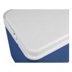 Jolie Max 30L Portable Insulated Ice Cooler