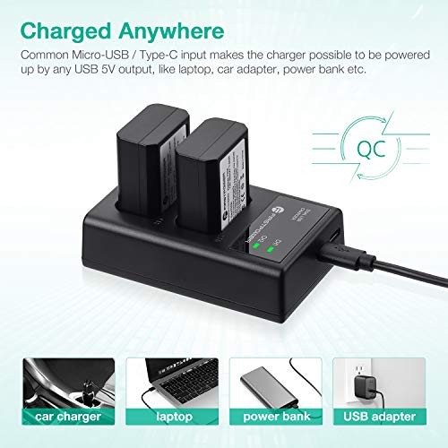 FirstPower NP-FW50 Battery 2-Pack and USB Dual Charger Compatible with Sony A6000 A6300 A6400 A6500 A7 A7II A7RII A7SII A7S A7S2 A7R A7R2 A5100 A5000 RX10 RX10II III Cameras by FirstPower