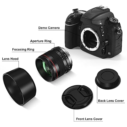 Lightdow 85mm F1.8 Medium Telephoto Manual Focus Full Frame Portrait Lens for Canon EOS Rebel T8i T7i T7 T6 T3i T2i 4000D 2000D 1300D 850D 800D 600D 550D 90D 80D 77D 70D 50D 6D 5D etc by ZLY Technology