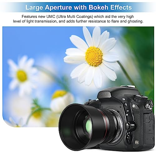 Lightdow 85mm F1.8 Medium Telephoto Manual Focus Full Frame Portrait Lens for Canon EOS Rebel T8i T7i T7 T6 T3i T2i 4000D 2000D 1300D 850D 800D 600D 550D 90D 80D 77D 70D 50D 6D 5D etc by ZLY Technology