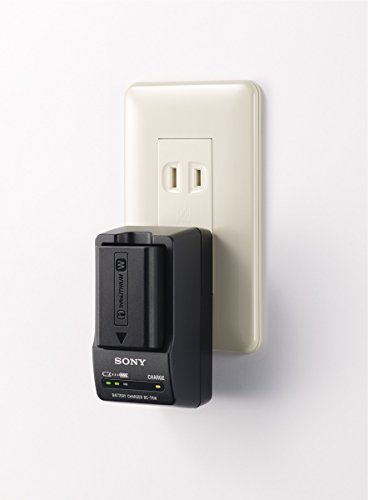 Sony BC-TRW W Series Battery Charger from Sony