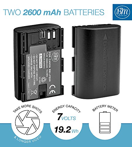 Battery Grip Kit for Canon EOS 70D, EOS 80D, EOS 90D Digital SLR Camera Includes Qty 2 BM Prmeium LP-E6 Batteries + BG-E14 Replacement Battery Grip by Big Mike's