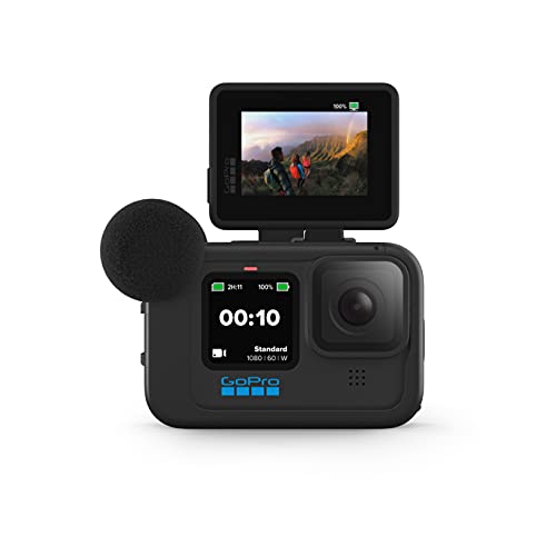 GoPro Display Mod - Official Accessory from GoPro Camera