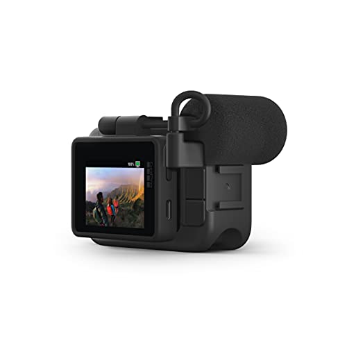 GoPro Display Mod - Official Accessory from GoPro Camera