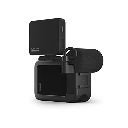 GoPro Display Mod - Official Accessory from GoPro Camera