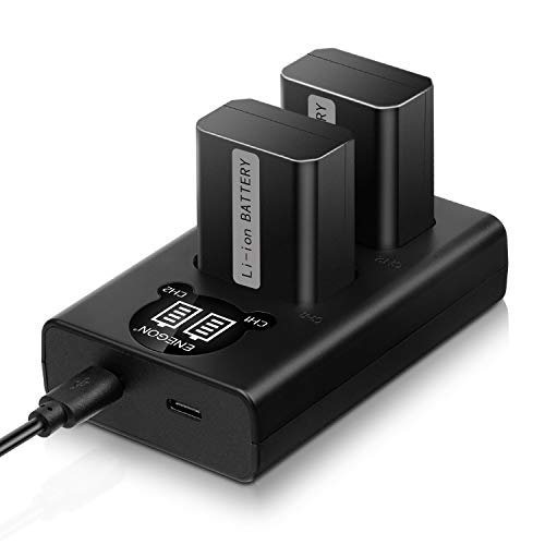 ENEGON NP-FW50 Battery (2-Pack,1300mAh) and Dual Charger for Sony A6000, A6400, A6300, A6500, A7, A7II, A7RII, A7SII, A7S, A7S2, A7R, A7R2, A55, A5100, RX10 Accessories by ENEGON