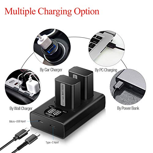 ENEGON NP-FW50 Battery (2-Pack,1300mAh) and Dual Charger for Sony A6000, A6400, A6300, A6500, A7, A7II, A7RII, A7SII, A7S, A7S2, A7R, A7R2, A55, A5100, RX10 Accessories by ENEGON