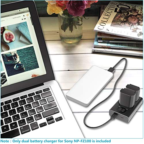 Neewer Dual USB Charger for Sony NP-FZ100 Battery, Compatible with Sony A9 A7III A7RIII Cameras, Designed with LCD Display, Versatile Charging Options from Neewer