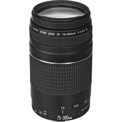 Canon EF 75-300mm f/4-5.6 III Lens PRO Bundle with Filter Kit, Telephoto and Wide Angle Lens, Tulip Hood Lens + Much More (Black) [International Version] from Pixel Hub