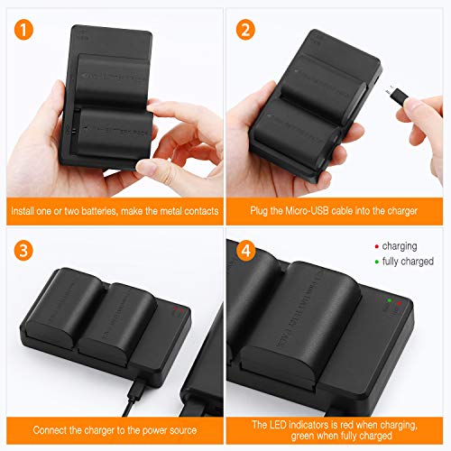LP-E6 LP E6N Replacement Camera Batteries and Rapid Dual Charger Set for 5D Mark II, III, IV, 5DS, 5DS R, 6D, 60D,6D Mark II, 7D, 7D Mark II,70D, 80D Batteries Grip by Lordone