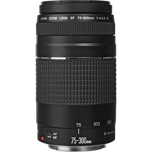 Canon EF 75-300mm f/4-5.6 III Lens PRO Bundle with Filter Kit, Telephoto and Wide Angle Lens, Tulip Hood Lens + Much More (Black) [International Version] from Pixel Hub