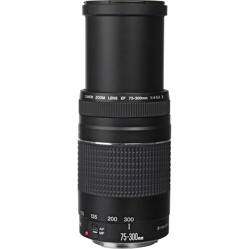 Canon EF 75-300mm f/4-5.6 III Lens PRO Bundle with Filter Kit, Telephoto and Wide Angle Lens, Tulip Hood Lens + Much More (Black) [International Version] from Pixel Hub