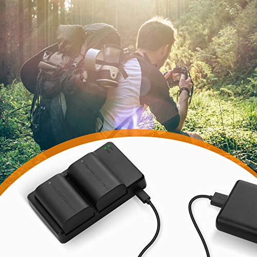 LP-E6 LP E6N Replacement Camera Batteries and Rapid Dual Charger Set for 5D Mark II, III, IV, 5DS, 5DS R, 6D, 60D,6D Mark II, 7D, 7D Mark II,70D, 80D Batteries Grip by Lordone