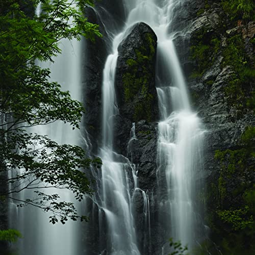 NIKKOR Z 100-400mm f/4.5-5.6 VR S by Nikon