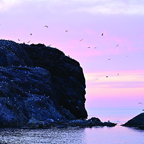 NIKKOR Z 100-400mm f/4.5-5.6 VR S by Nikon