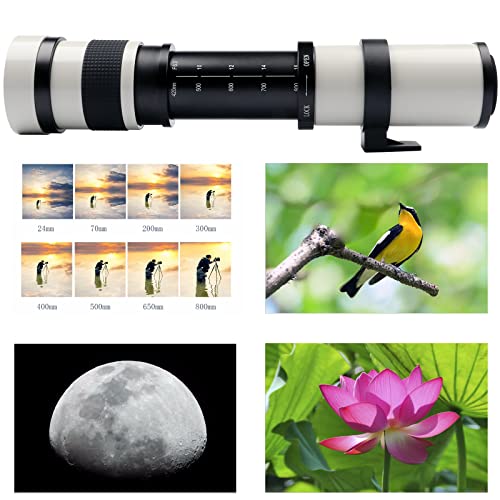 Lightdow 420-800mm f/8.3 Manual Zoom Super Telephoto Lens + T Mount Ring for Canon EOS 80D 90D Rebel T3 T3i T4i T5 T5i T6 T7 T6i T7i SL1 SL2 60D 70D 77D 5D III/5D IV 6D 7D/7D II (White Version) from ZLY Tech
