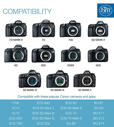 BM Premium 2 Pack of LP-E6NH High Capacity Batteries and Dual Bay Battery Charger for Canon EOS R EOS R5 EOS R6 EOS R6 II EOS R7 EOS 90D EOS 60D EOS 70D EOS 80D EOS 6D II EOS 7D EOS 7D Mark II Cameras from BM Premium