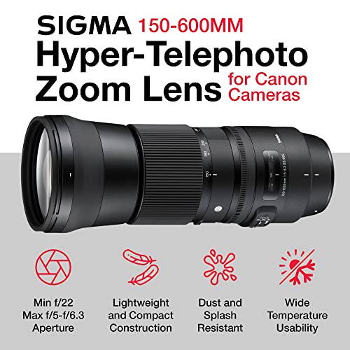 Sigma 150-600mm Canon Zoom Telephoto Lens F/5-6.3 DG OS HSM Bundle with Sigma Lens for Canon, Front and Rear Caps, Lens Hood, Lens Case, 2X 128GB SanDisk Memory Cards (7 Items) - Sigma 150 600 Lens from SIGMA