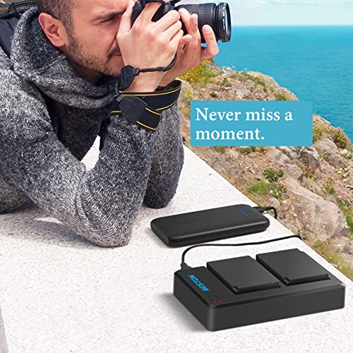 BESTON LP-E10 Battery and Charger for Canon EOS Rebel T7 T6 T5 T3 T100 1100D 1200D 1300D 2000D 4000D DSLR Camera (2-Pack) from BESTON