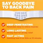 ThermaCare Long-Lasting Back & Hip HeatWraps
