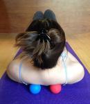Myofascial Release Massage Lacrosse Balls - Set of 2