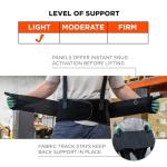Ergodyne ProFlex 1650 Adjustable Back Support Belt