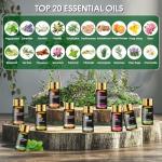 20 Pcs Essential Oil Gift Set for Relaxation
