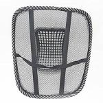 Lumbar Mesh Back Support with Massage Beads