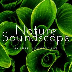 Soothing Nature Sounds for Relaxation and Meditation
