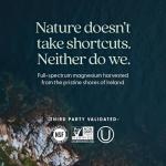 Magnesium and Ashwagandha for Stress Relief