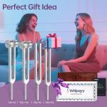 Healing Tuning Forks Set with Pouch & Activator