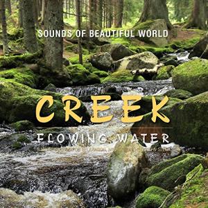 Nature Sounds: Flowing Water for Relaxation and Sleep