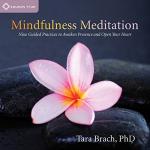 Guided Mindfulness Meditation for Stress Relief