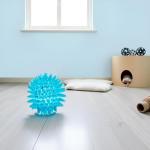 Blue Spiky Massage Ball for Stress Relief and Recovery