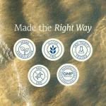 High Absorption Magnesium Glycinate 500mg - Relaxation Support