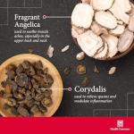 Corydalis Root Stress Relief Supplement – 180 Capsules