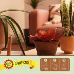 Baby Bio Liquid Plant Food with Seaweed, 1L