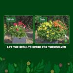 Organic Seaweed Fertilizer for All Plants - 5L