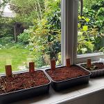 Coco Coir 10 Litres - Organic Growing Media