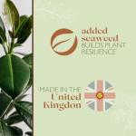 Baby Bio Liquid Plant Food with Seaweed, 1L