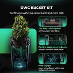 DWC Hydroponic 5 Gallon Grow System with Pump